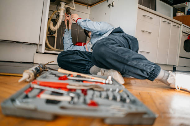 Best Local Plumber Services  in Rio Rico, AZ