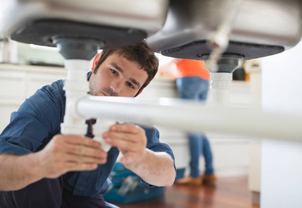 Best Plumbing Inspection Services  in Rio Rico, AZ