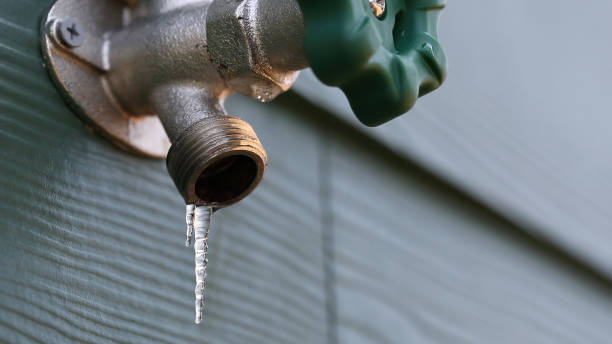 Best Septic Systems  in Rio Rico, AZ