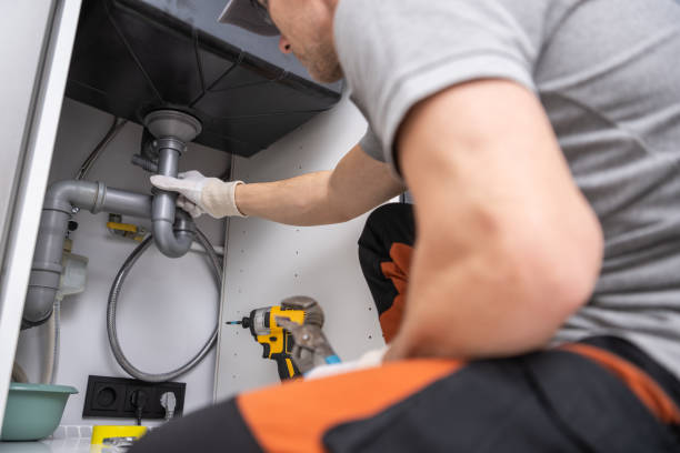 Best Plumbing Services Near Me  in Rio Rico, AZ