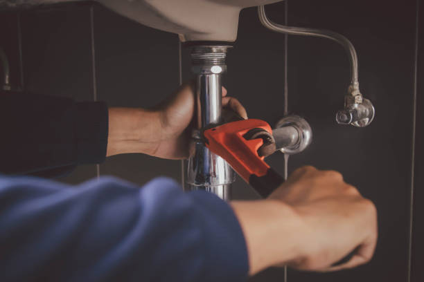 Best Clogged Drain Plumber  in Rio Rico, AZ