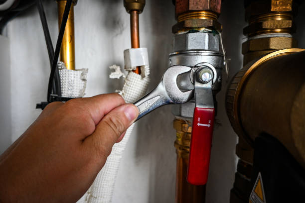 Best Residential Plumbing Services  in Rio Rico, AZ